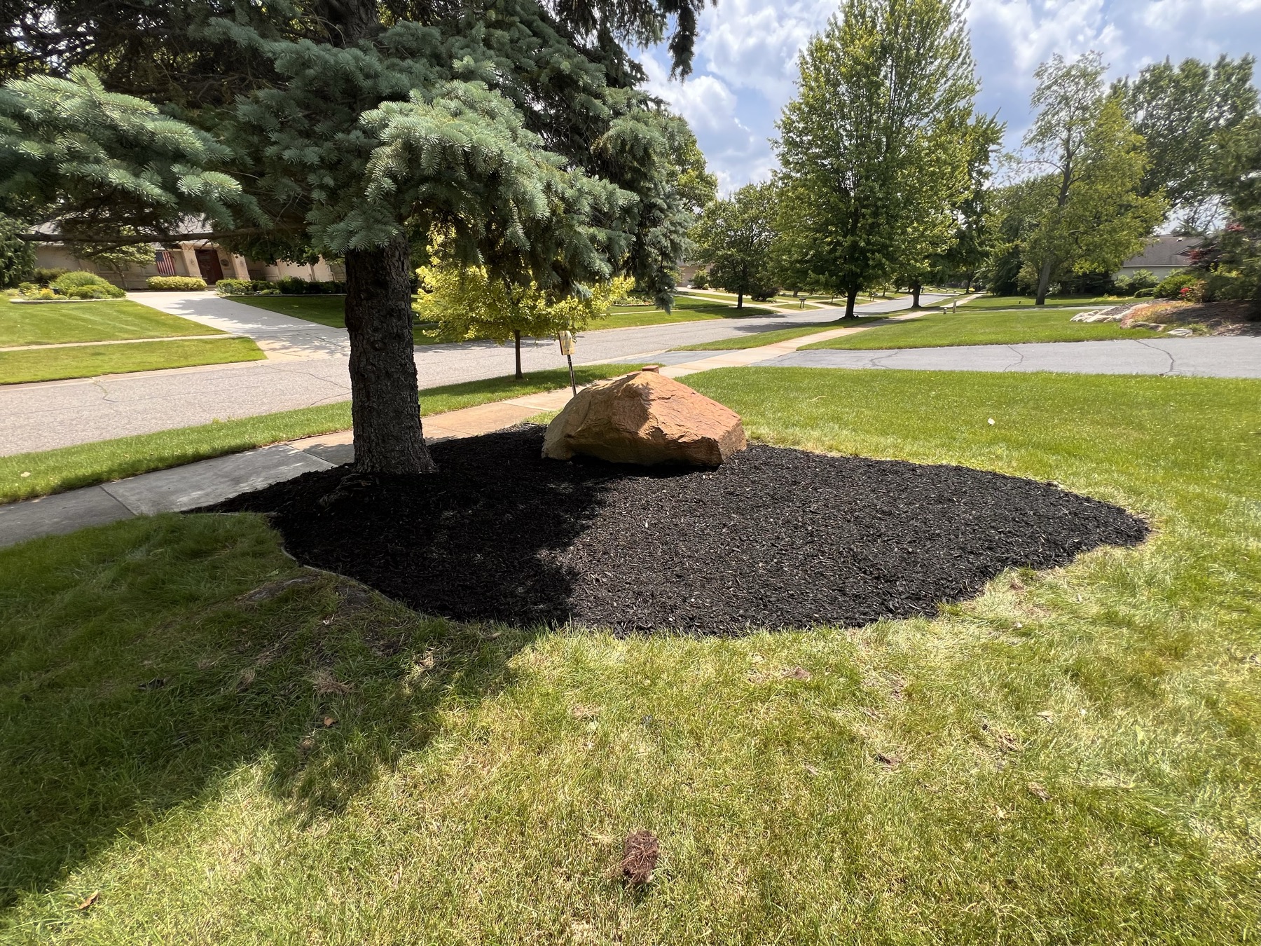 Same tree ring rebuilt with clean edges and fresh black mulch