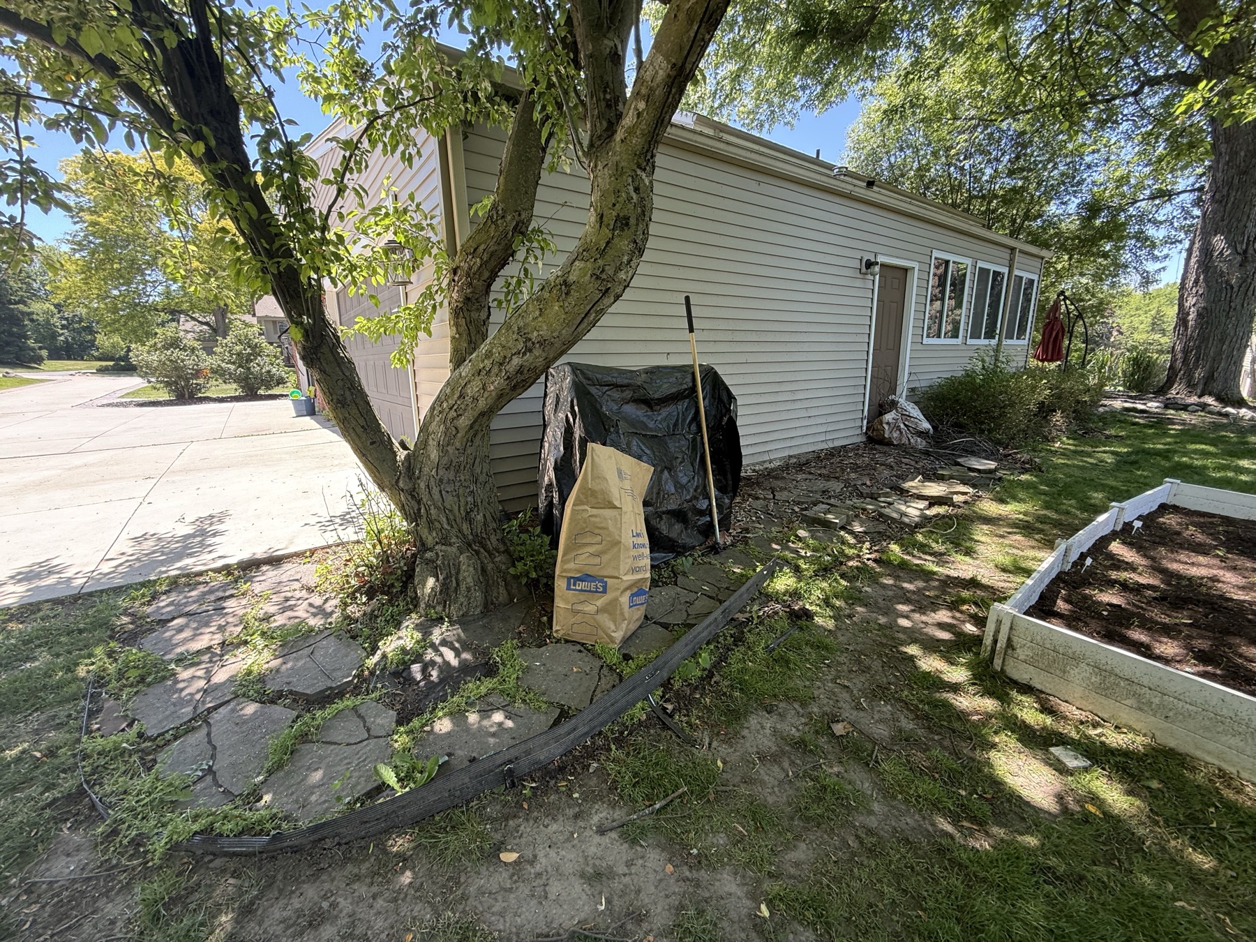 Broken stone path and overgrown side yard before landscaping